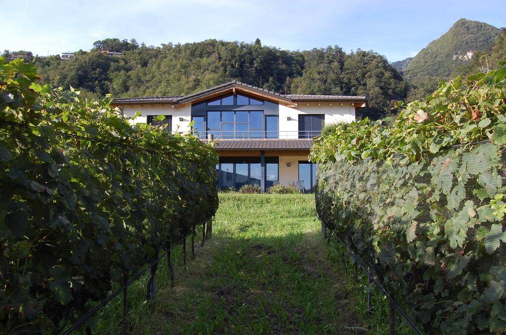 B&B Il Vigneto เมลาโน ภายนอก รูปภาพ