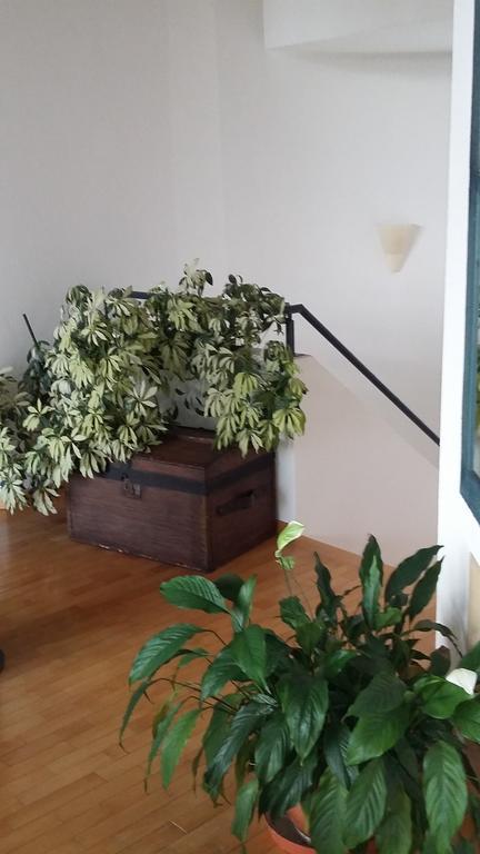 B&B Il Vigneto เมลาโน ภายนอก รูปภาพ