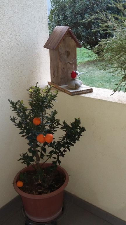 B&B Il Vigneto เมลาโน ภายนอก รูปภาพ